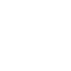 icon user